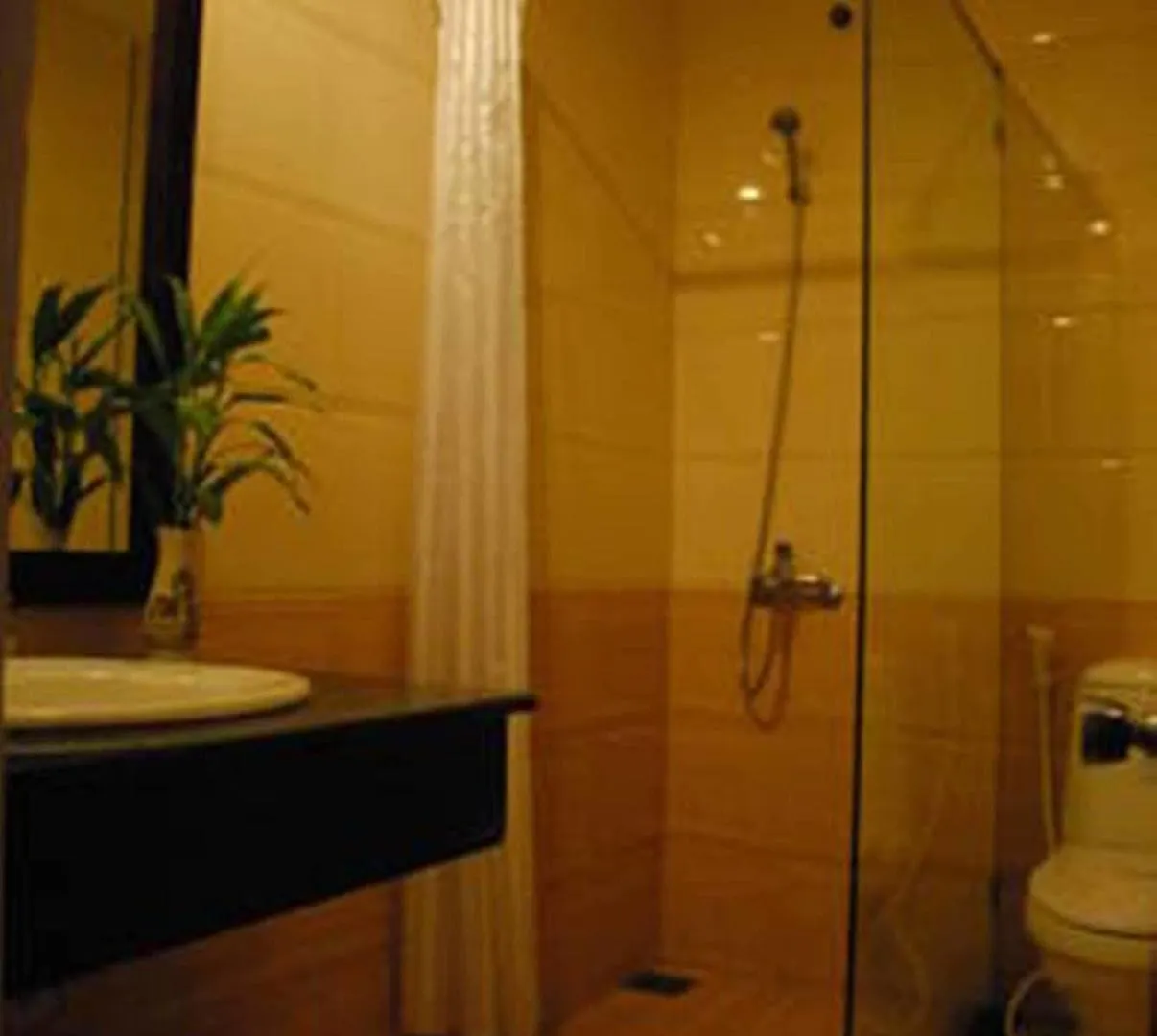 Omega Da Nang Beach Hotel